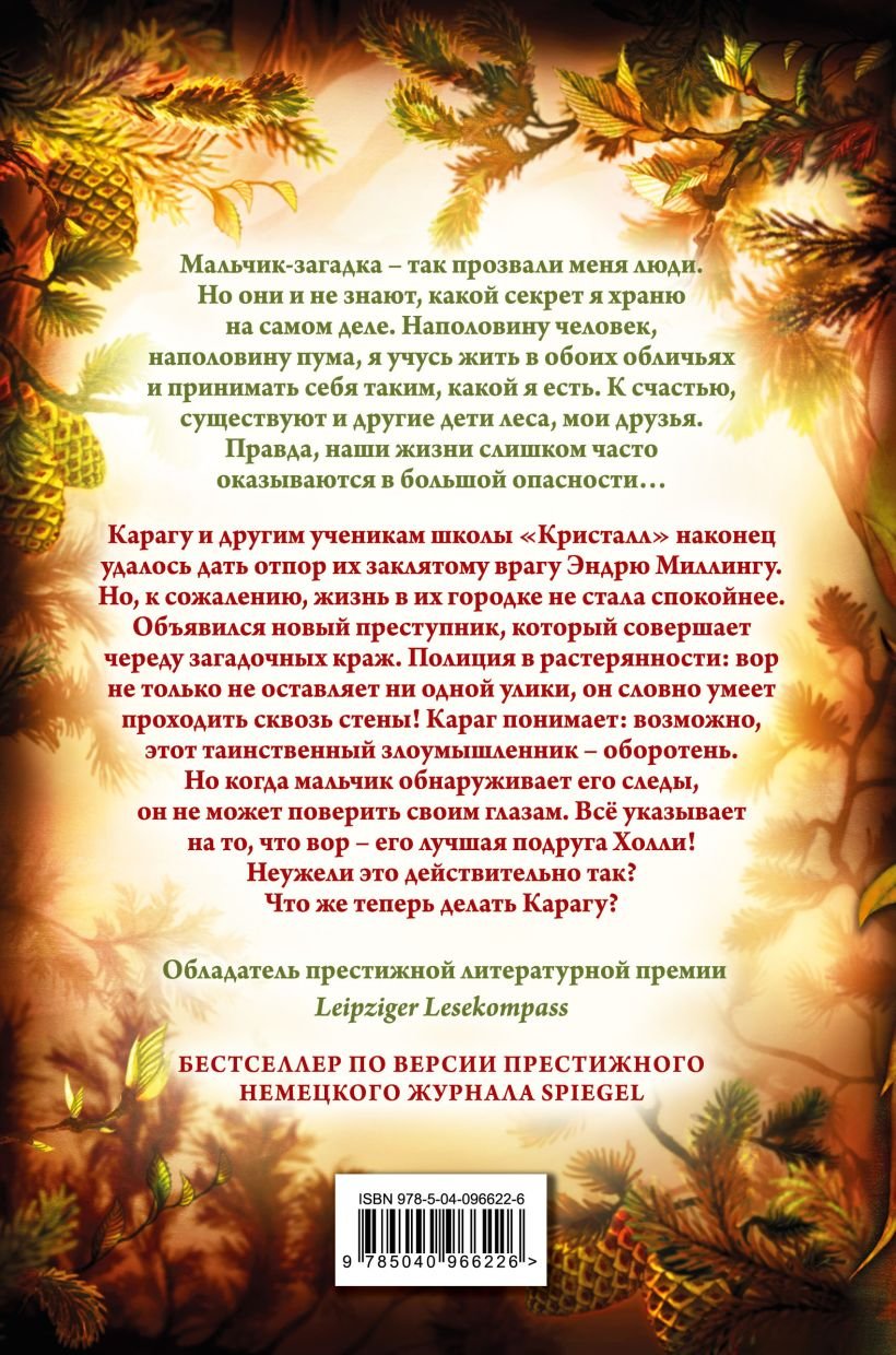 Дети леса. Тайна Холли (#3) - Image 2