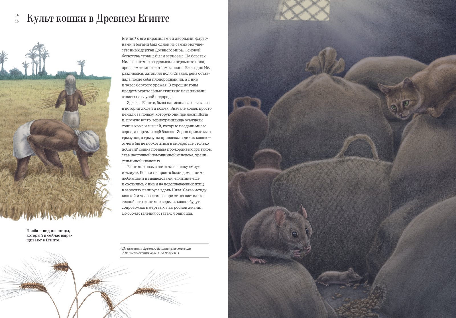 Как кошка приручила человека: история кошек и людей - Image 3