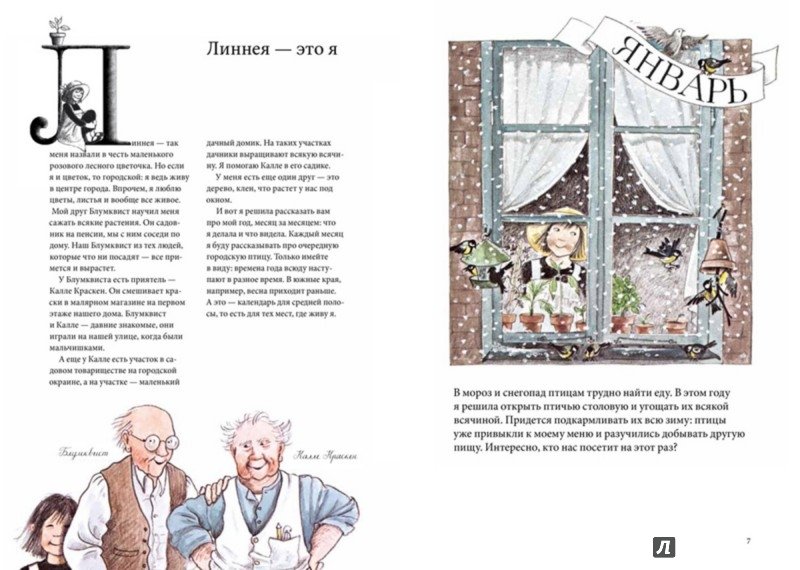 Календарь Линнеи - Image 2