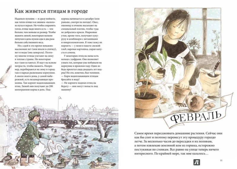 Календарь Линнеи - Image 3