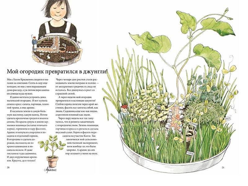 Календарь Линнеи - Image 5