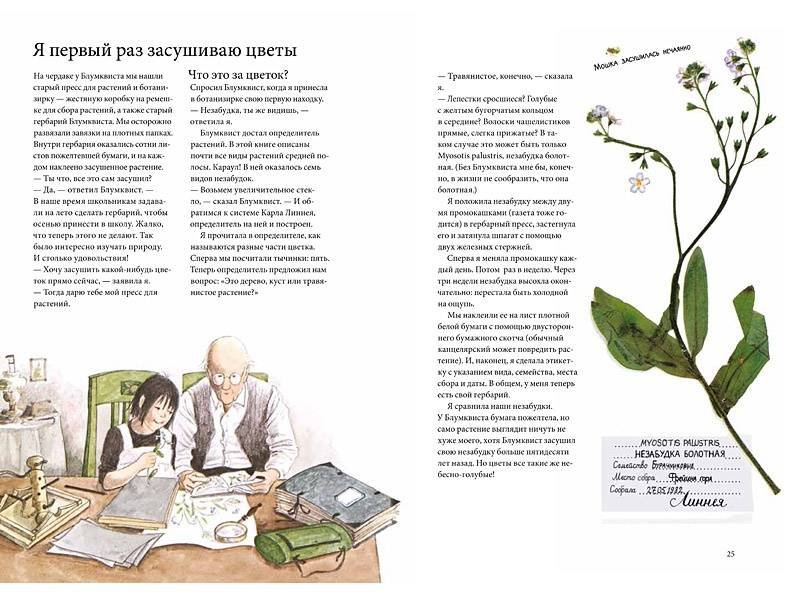 Календарь Линнеи - Image 6
