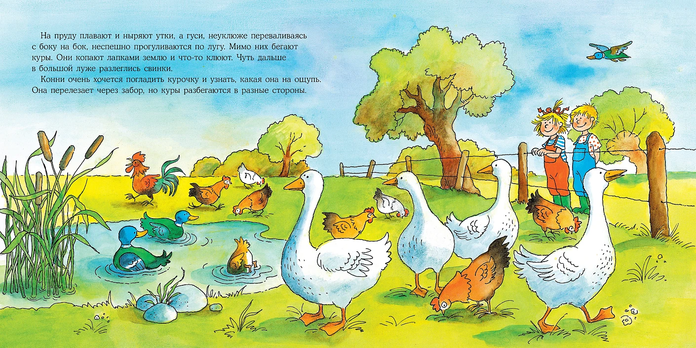 Большая книга приключений Конни. Животные - Image 3