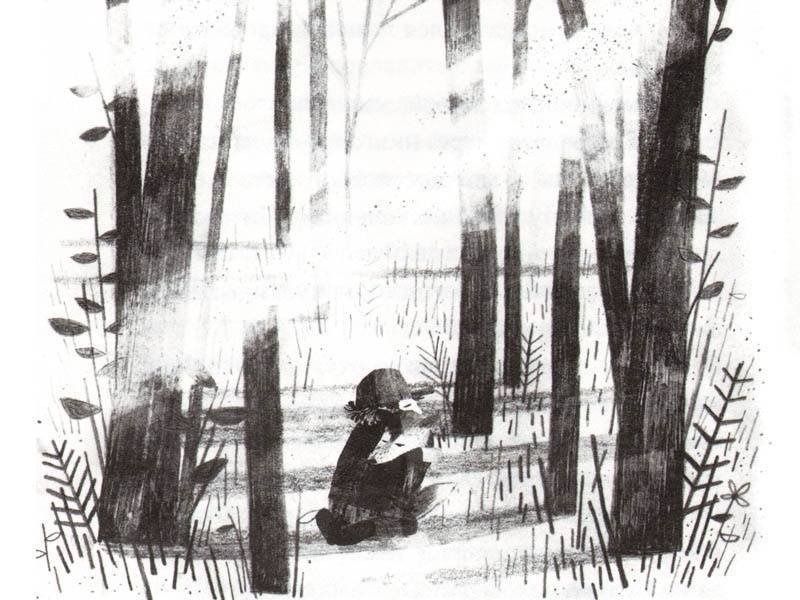 Пакс - Image 4