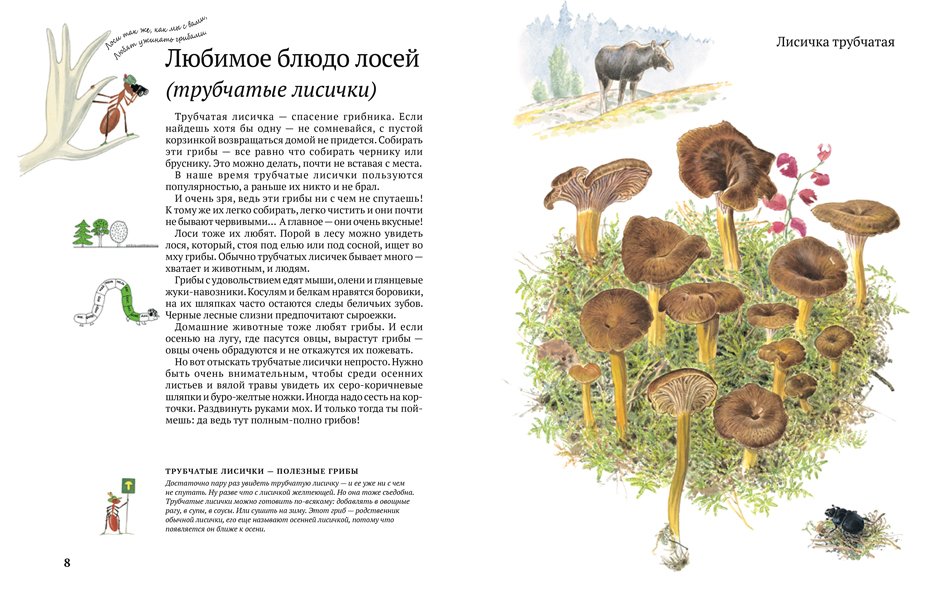 Софи в мире грибов - Image 3