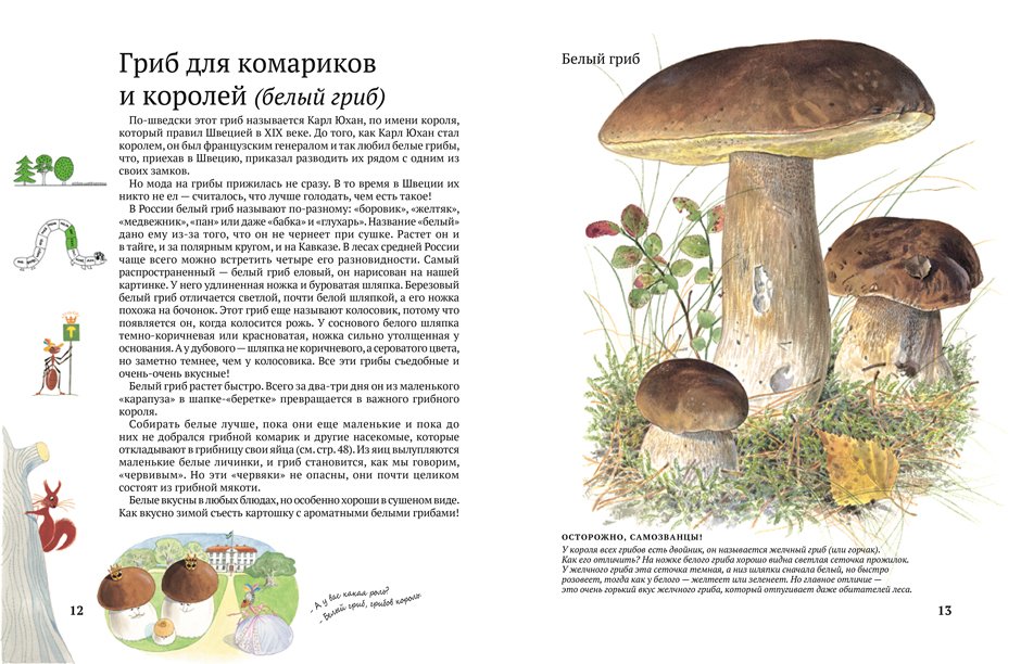 Софи в мире грибов - Image 4