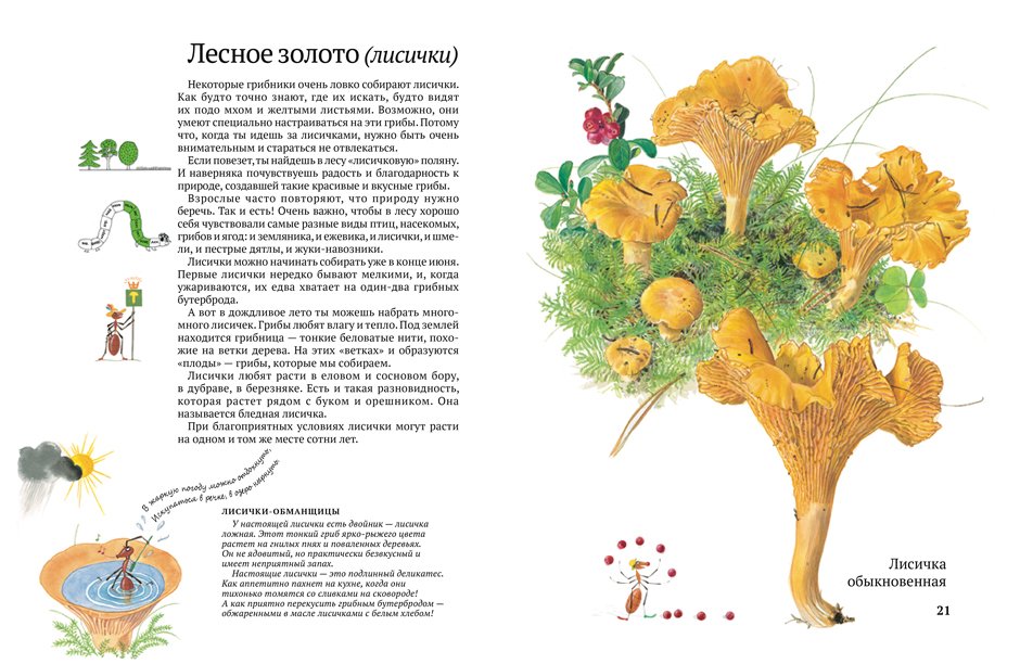 Софи в мире грибов - Image 5